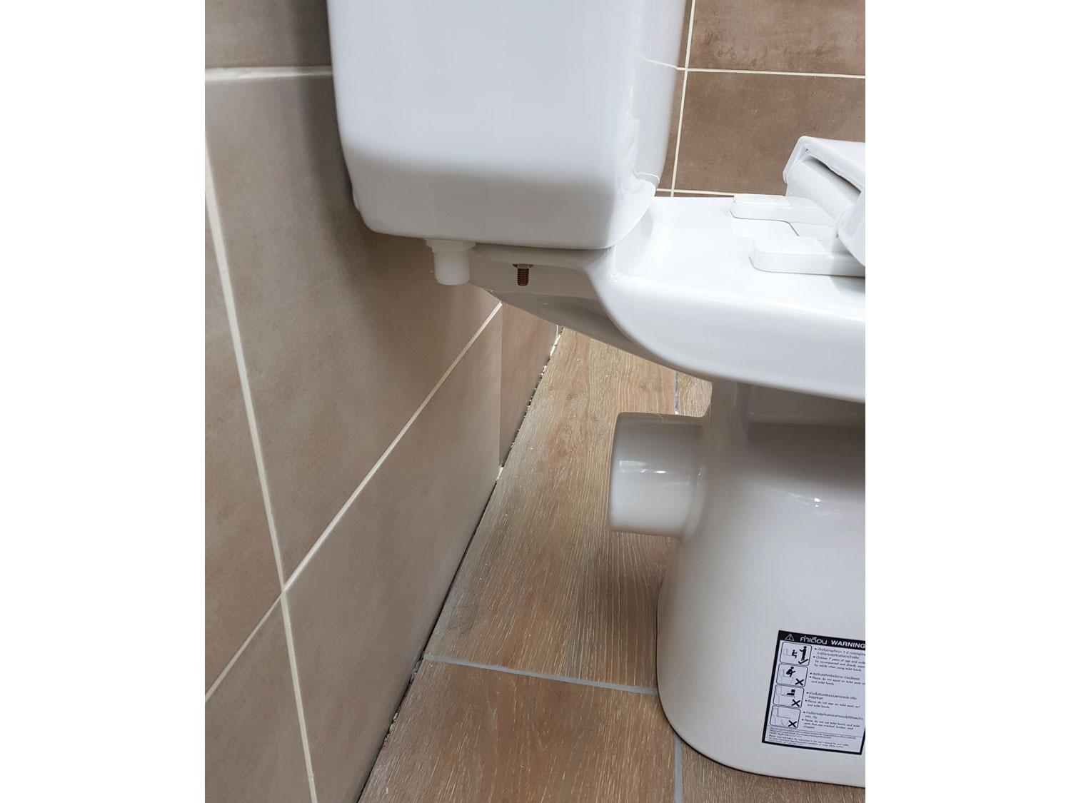COTTO Sella-P  White Toilet Suite back drain view