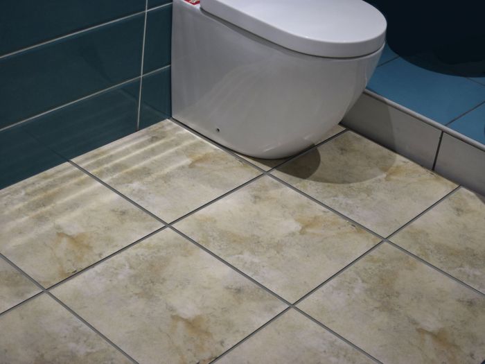 Ctm Kenya Bathroom Floor Tiles