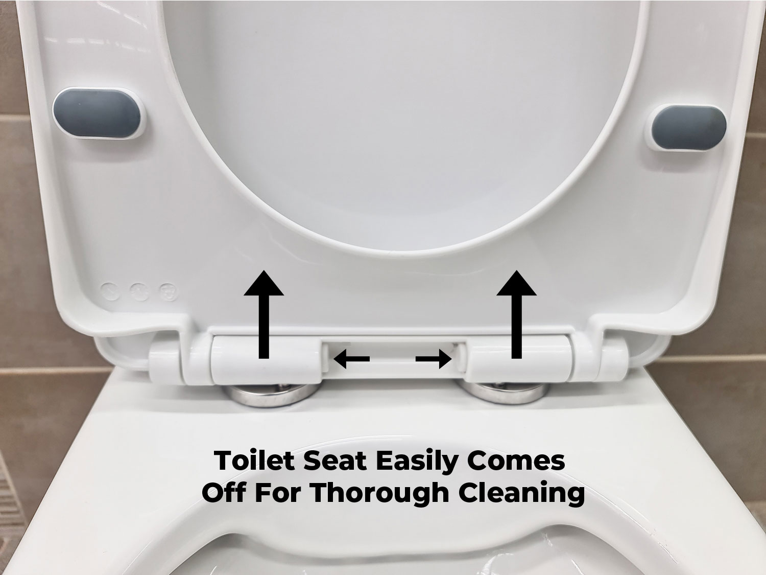 Ekos Charleston Toilet Suite Seat Easily Comes off