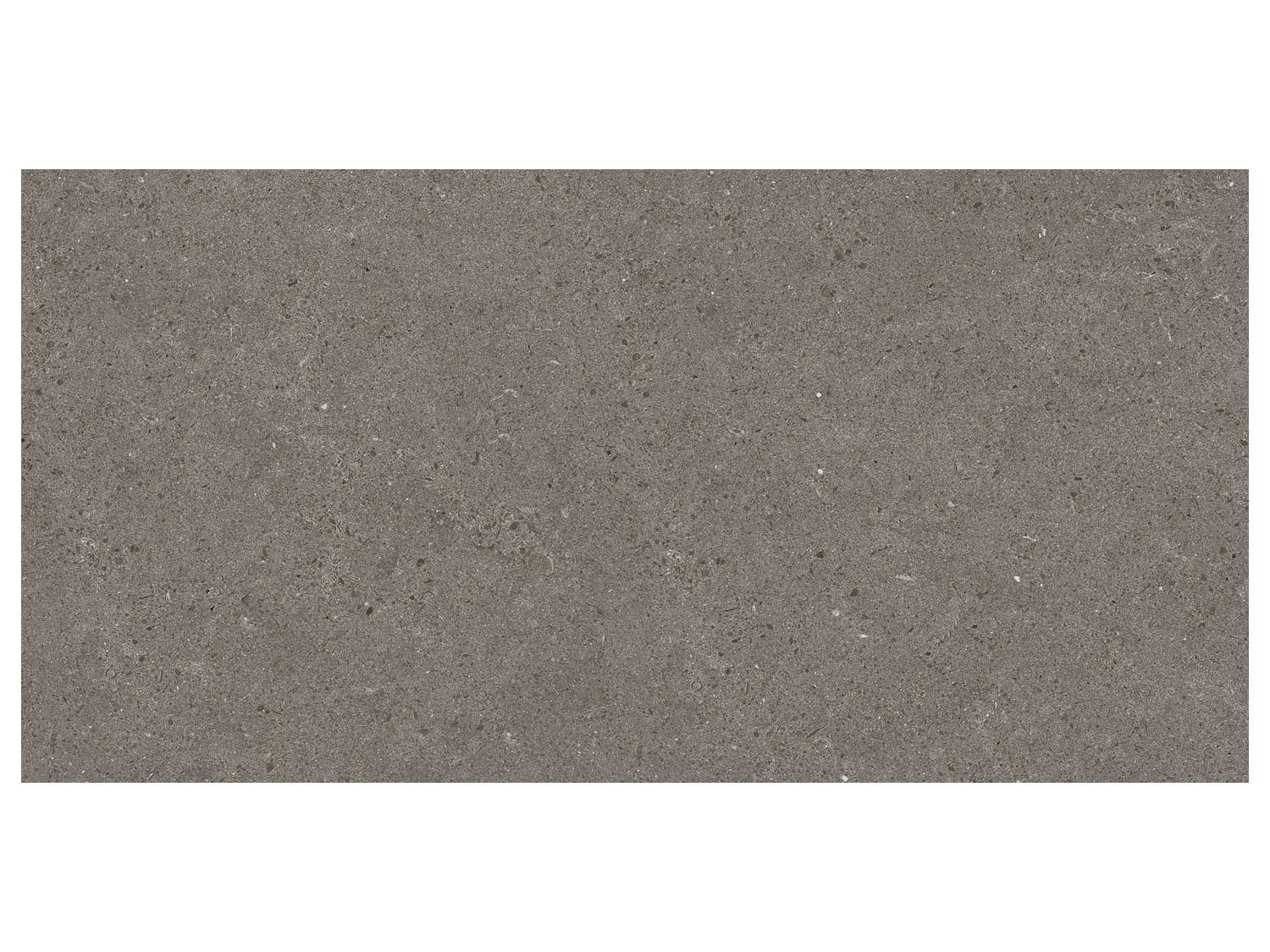 French Stone Grigio Matt Ceramic Tile - 300 x 600mm
